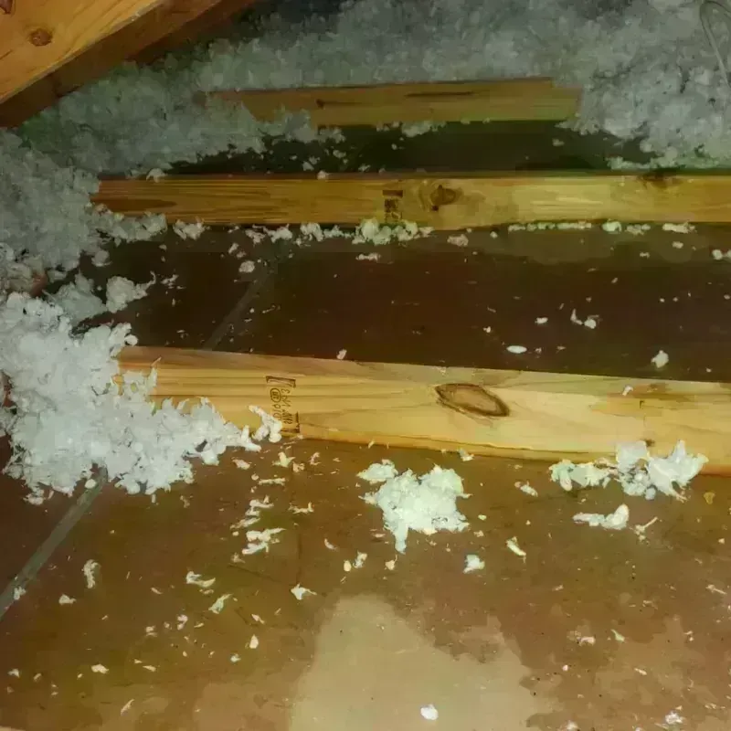 Attic Water Damage in Collier County, FL