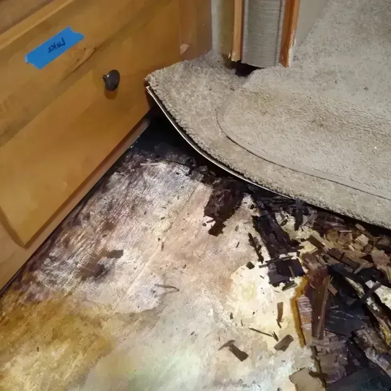 Best Wood Floor Water Damage Service in Collier County, FL